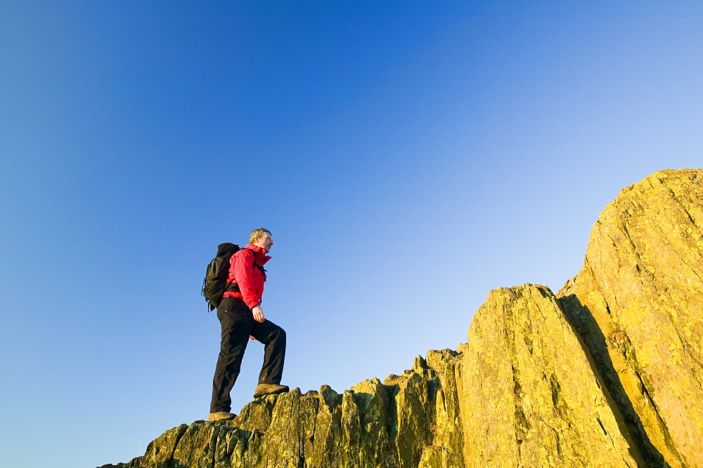 A walker above Windermere on Todd Crag at dawn, Lake District National Park, Cumbria, England, United Kingdom, Europe