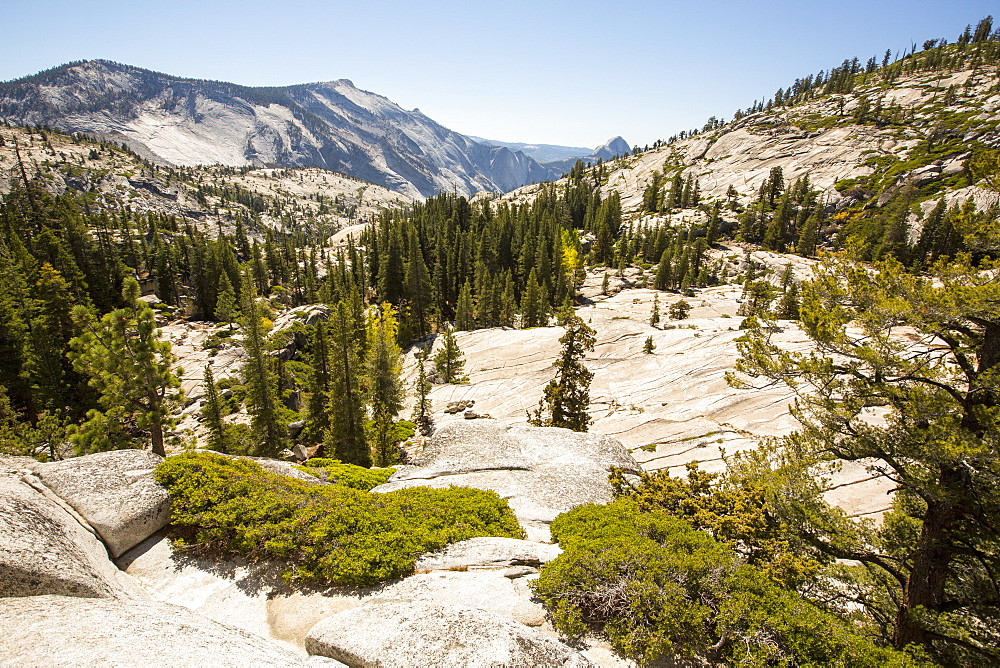 Yosemite National Park, California, USA.