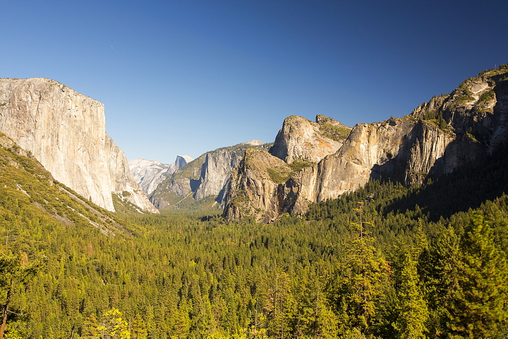 El Capitan probably the most famous climbing wall in Yosemite National Park, California, USA.