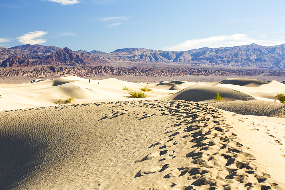 The Mesquite flat sand dunes in Death Valley which is the lowest, hottest, driest place in the USA, with an average annual rainfall of around 2 inches, some years it does not receive any rain at all.