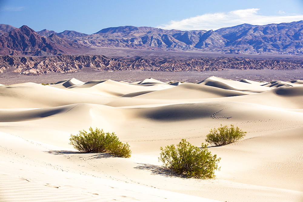 The Mesquite flat sand dunes in Death Valley which is the lowest, hottest, driest place in the USA, with an average annual rainfall of around 2 inches, some years it does not receive any rain at all.