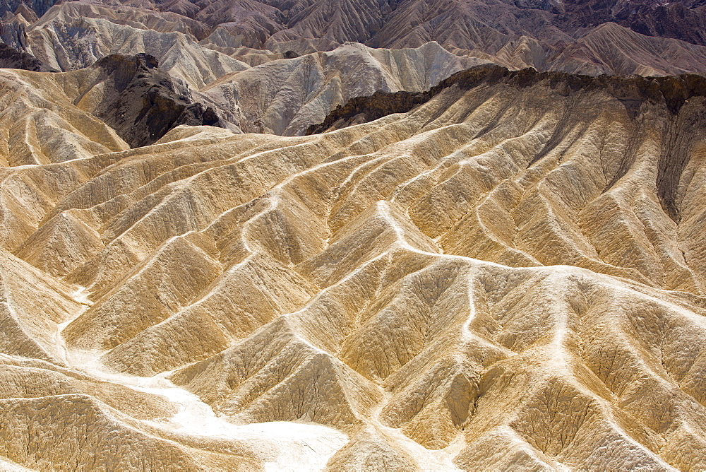 Badland scenery at Zabriskie Point in Death Valley which is the lowest, hottest, driest place in the USA, with an average annual rainfall of around 2 inches, some years it does not receive any rain at all.