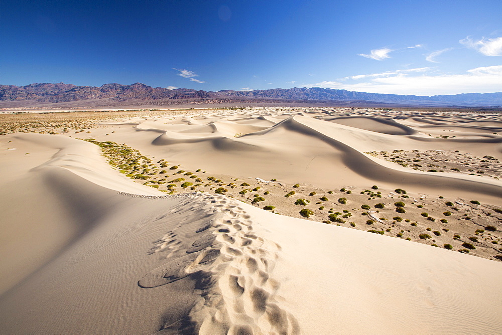 The Mesquite flat sand dunes in Death Valley which is the lowest, hottest, driest place in the USA, with an average annual rainfall of around 2 inches, some years it does not receive any rain at all.