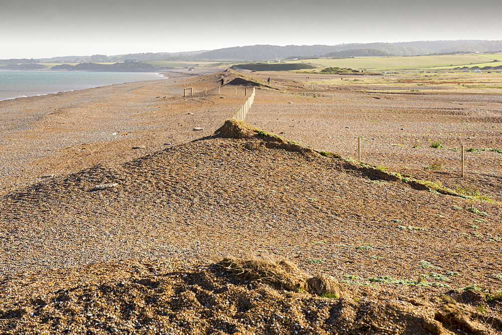 Damage caused to the coastal defences by the December 2013 storm surge at Cley on the North Norfolk coast, UK. The huge waves completely breached the storm beach, and pushed it inland onto the Cley nature reserve.