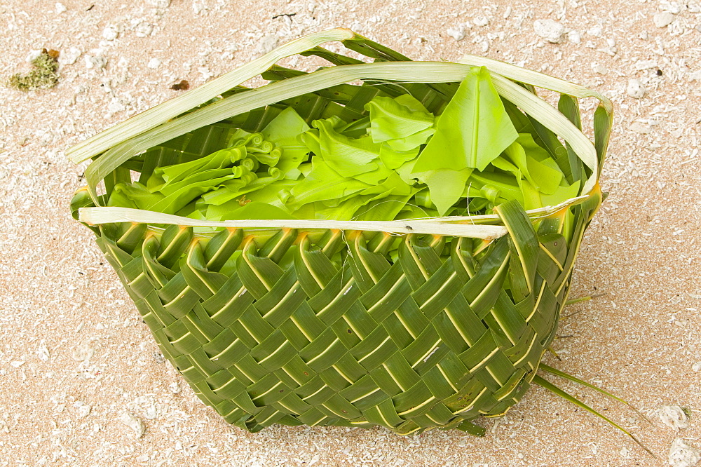 A basket woven out of a palm leaf for gathering wild food on Funafuti Atoll, Tuvalu, Pacific