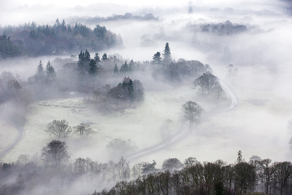 Looking down into the Langdale Valley above valley mist formed by a temperature inversion on Loughrigg, near Ambleside in the Lake District National Park.