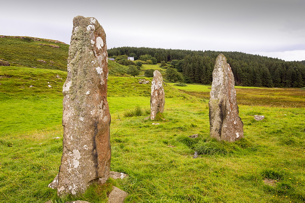 4000 year old Standing stones on the Glen Gorm estate near Tobermory, Isle of Mull, Scotland, UK.