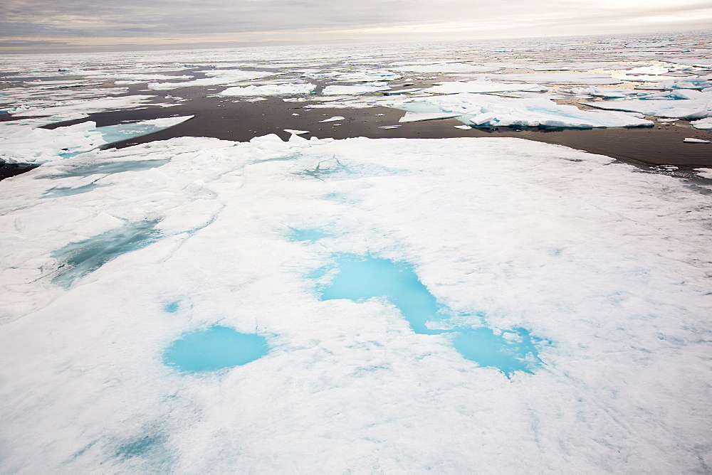 Rotten sea ice at over 80 degrees North off the north coast of Svalbard. Climate change is causing sea ice to retreat rapidly. The latest science predicts that the Arctic will be completely ice free in the summer around 2054. The sea ice broke up very early around Svalbard in 2013.