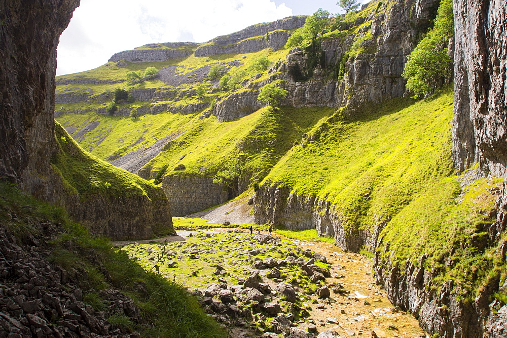 Goredale scar, an ancient collapsed cave near Malham in the Yorkshire Dales.