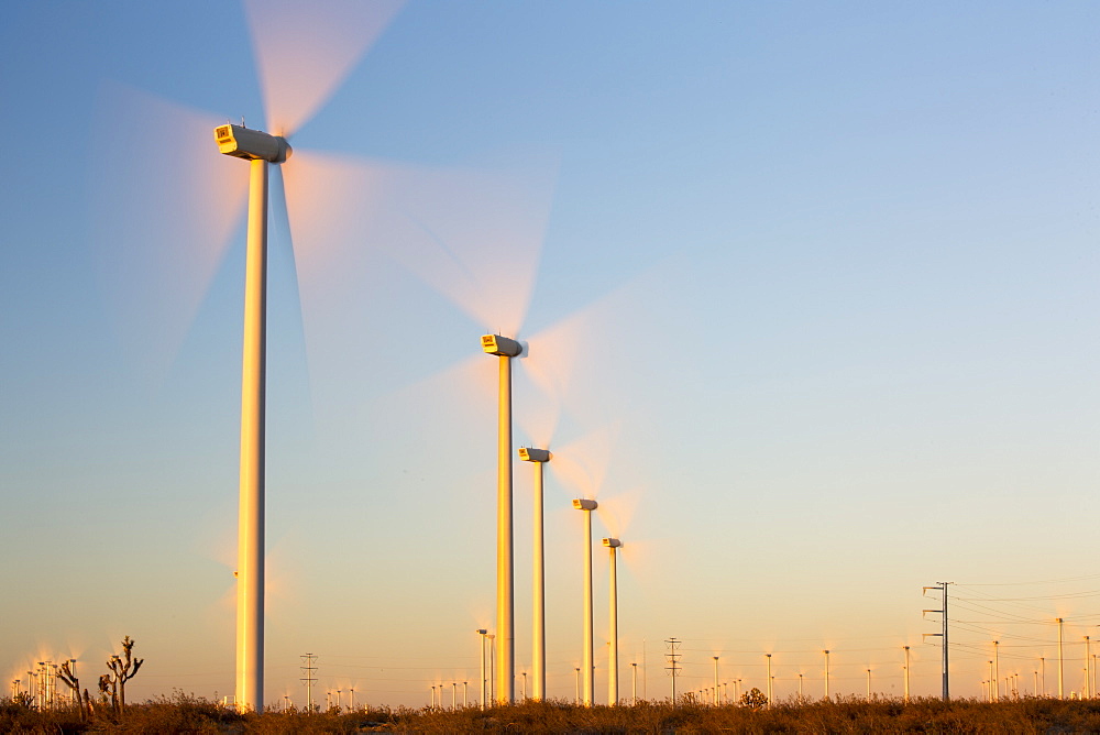 Part of the Tehachapi Pass wind farm, the first large scale wind farm area developed in the US, California, USA, at sunrise.