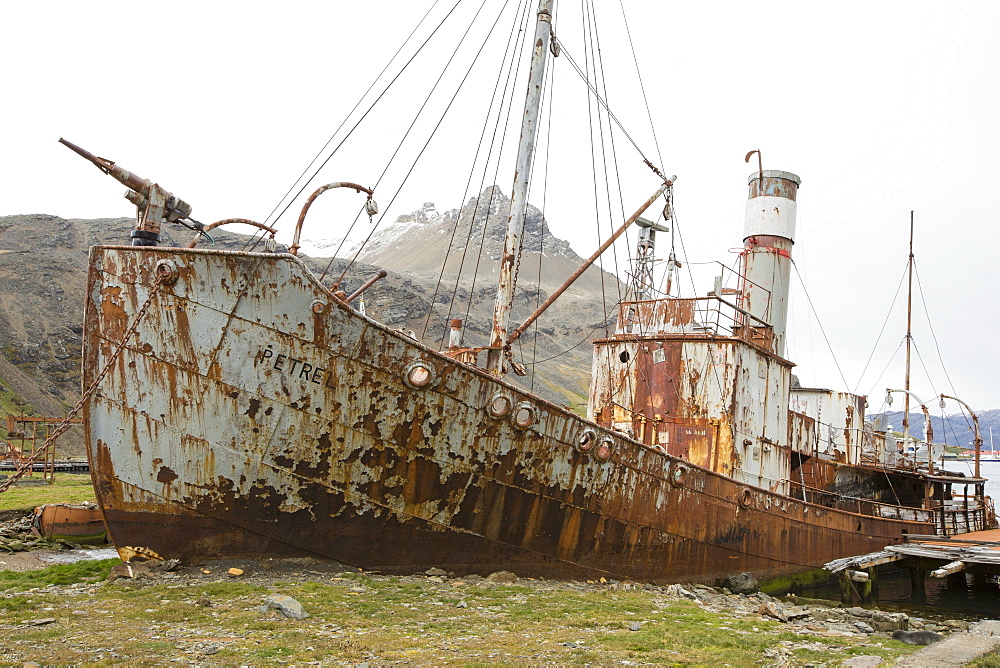 An abandoned whaling boat with a harpoon on its bow at the old whaling station at Grytviken on South Georgia. In its 58 years of operation, it handled 53,761 slaughtered whales, producing 455,000 tons of whale oil and 192,000 tons of whale meat.