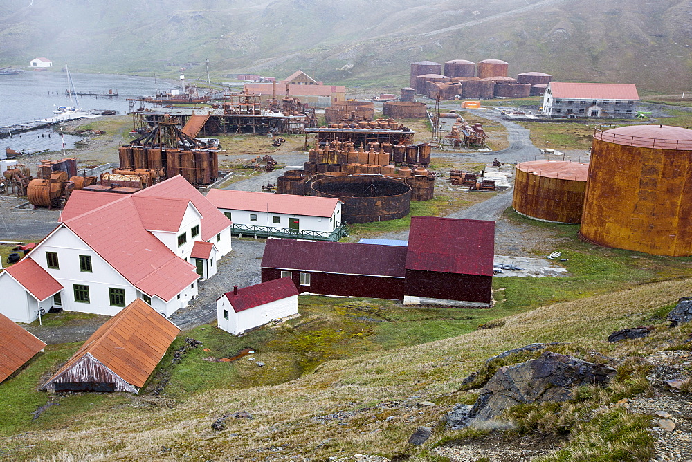 The old whaling station at Grytviken on South Georgia. In its 58 years of operation, it handled 53,761 slaughtered whales, producing 455,000 tons of whale oil and 192,000 tons of whale meat.