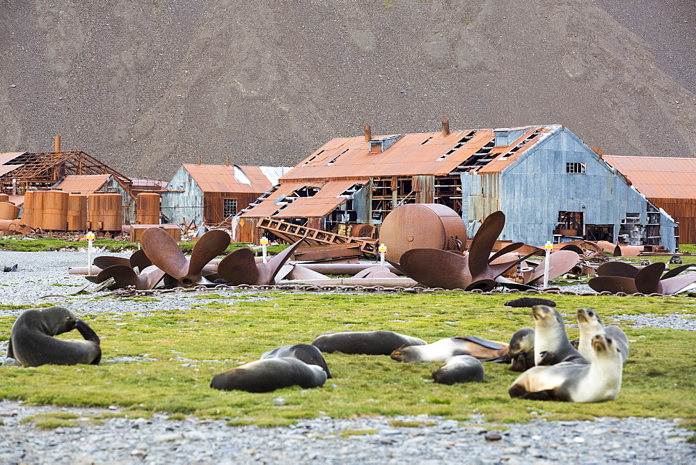 Stromness Whaling Station on South Georgia, it was operational until 1961, and wa the place where Sir Ernest Shackleton finally reached after his epic seas crossing and trek across south Georgia.