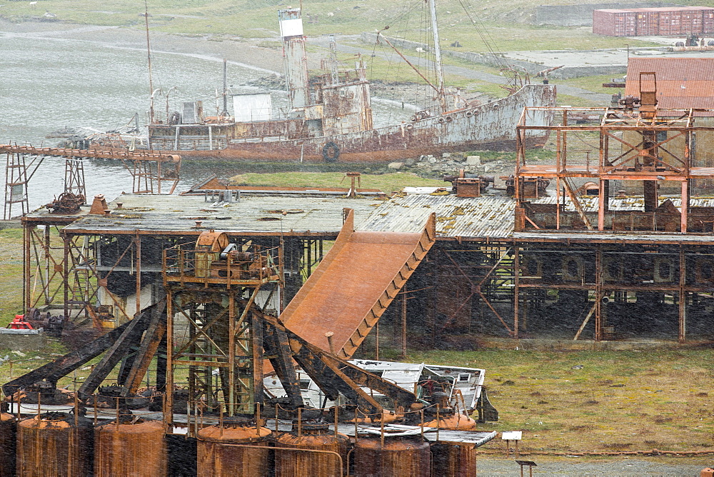 The old whaling station at Grytviken on South Georgia. In its 58 years of operation, it handled 53,761 slaughtered whales, producing 455,000 tons of whale oil and 192,000 tons of whale meat.