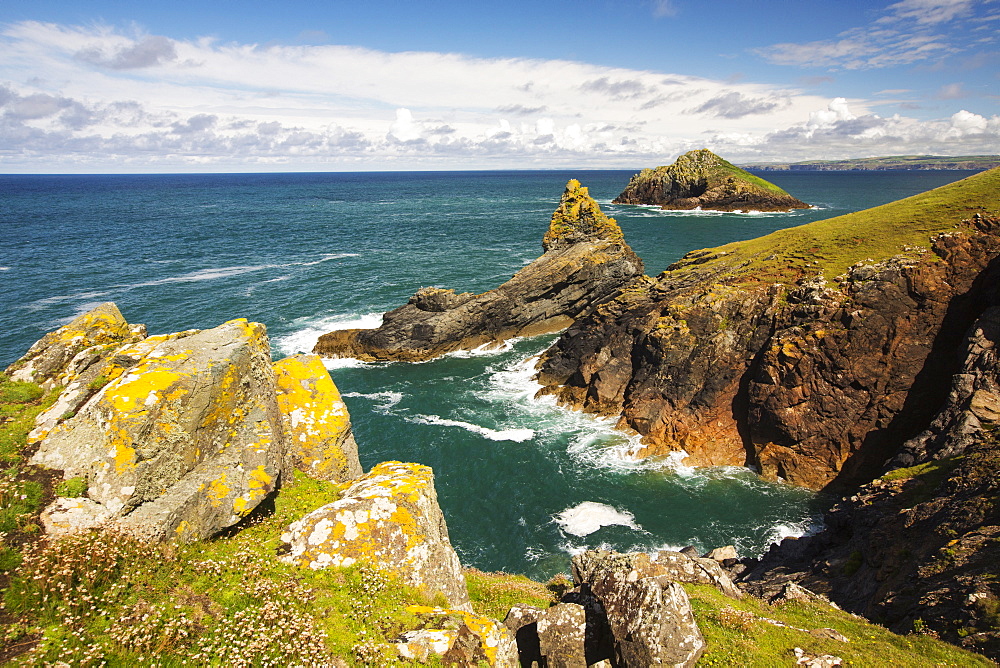 Lichen covered rocks on Rumps Point near Polzeath, Cornwall, UK.