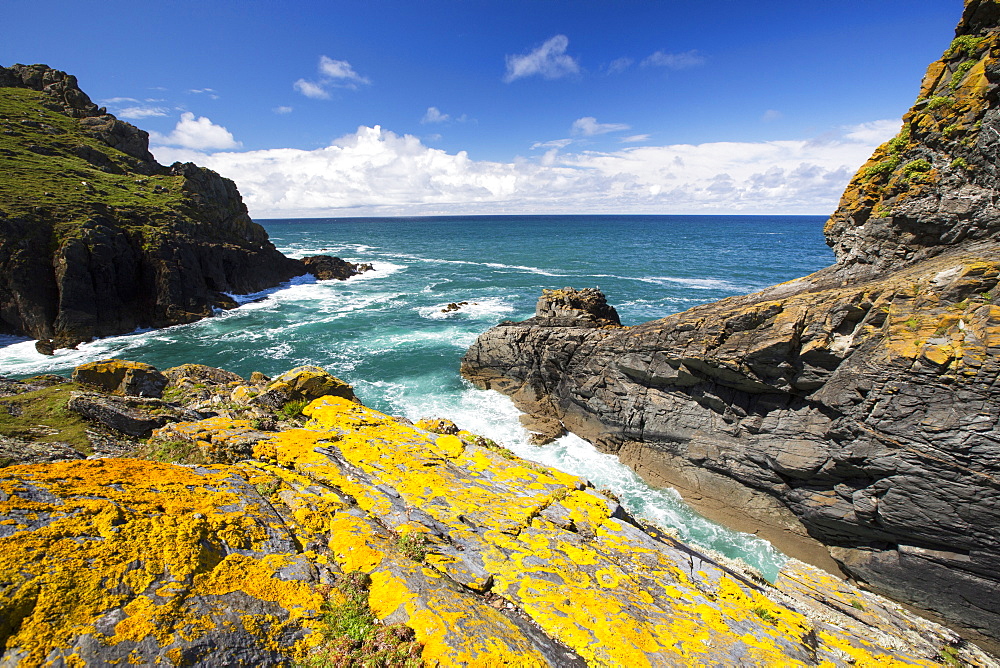 Lichen covered rocks on Rumps Point near Polzeath, Cornwall, UK.