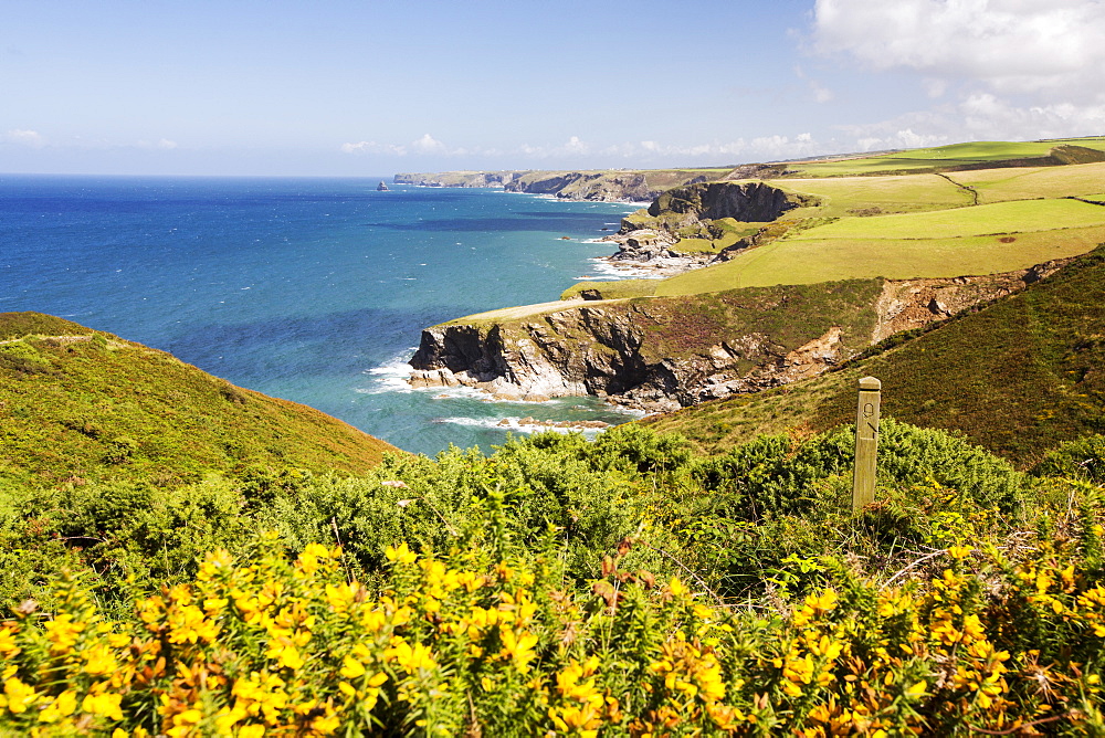 Coastal scenery on the South West Coast Path, East of Port Isaac, Cornwall, UK.