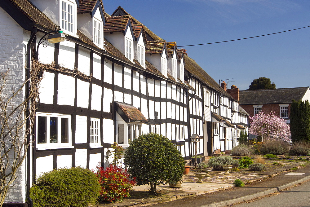 An ancient medieval Tudor timber framed house in Dilwyn, Herefordshire, UK.