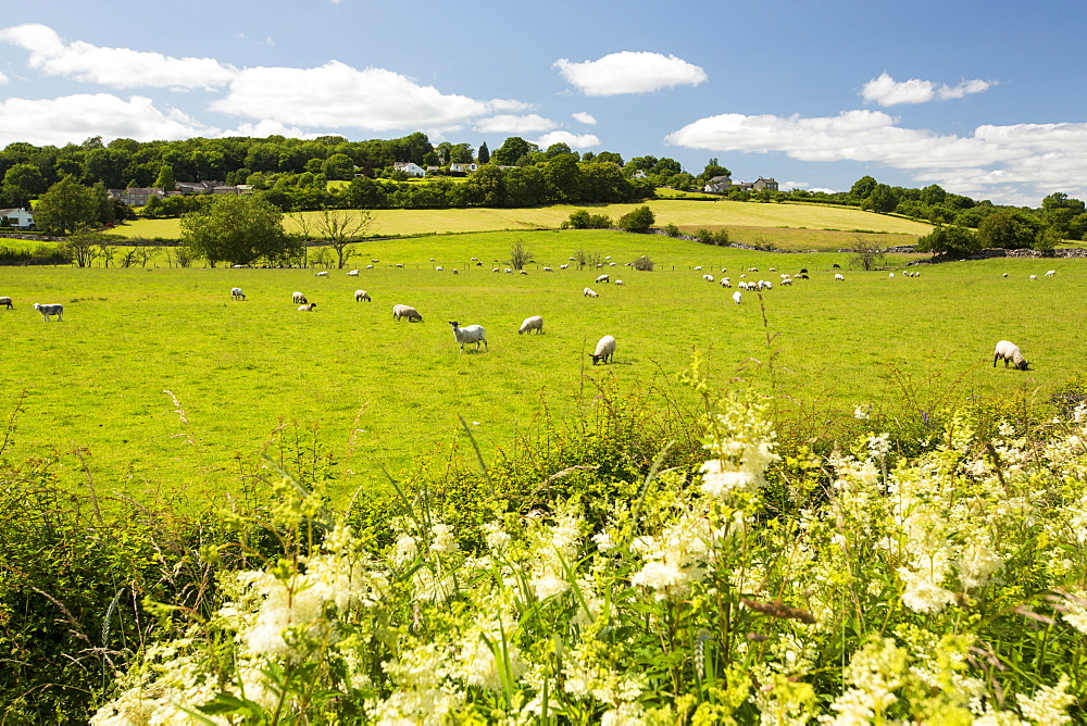 The Lyth Valley in South Cumbria, UK.