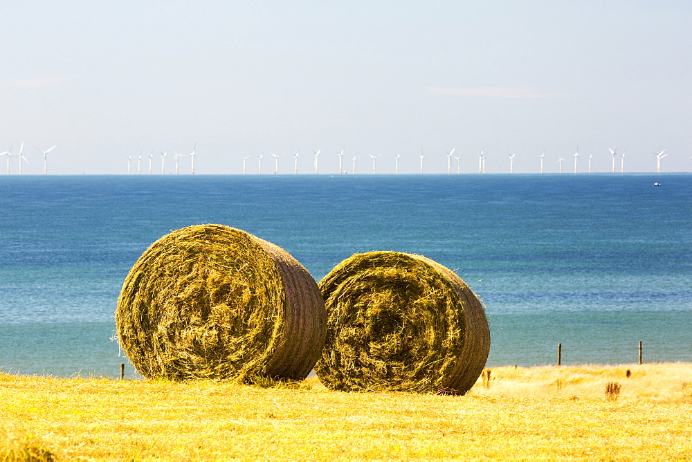 The Walney Offshore wind farm behind hay bales in a field on Walney Island, cumbria, UK.