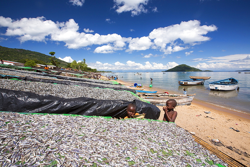 Fish drying racks drying a catch of small fish at Cape Maclear on the shores of Lake Malawi, Malawi, Africa.