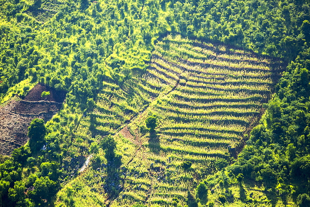 Looking down on deforested forest slopes from the air, being replaced by farmland for subsistence agriculture in Malawi. The country is suffering rapid deforestation, to provide both land for farming, and for making charcoal, the main cooking fuel in Malawi.