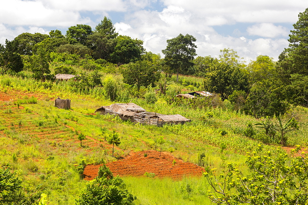 A farmstead on the zomba plateau which has been heavily deforested to provide a rapidly increasing population with land.