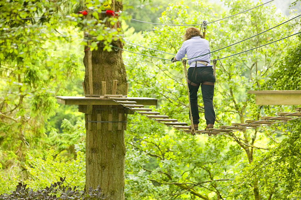 A woman on the the Go Ape aerial challenge in Grizedale Forest in Cumbria, England, United Kingdom, Europe