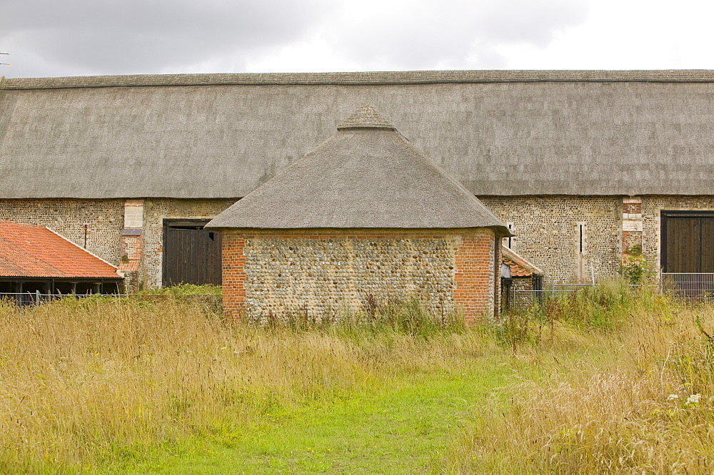 Paston barn, the largest thatched barn in the UK, Norfolk, England, United Kingdom, Europe