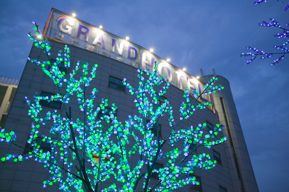 Tree lights outside a hotel in Incheon, Seoul, South Korea, Asia