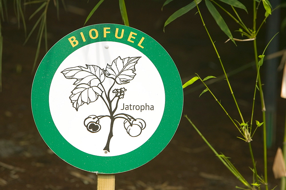 A bio fuel display at the Eden Project, Cornwall, England, United Kingdom, Europe