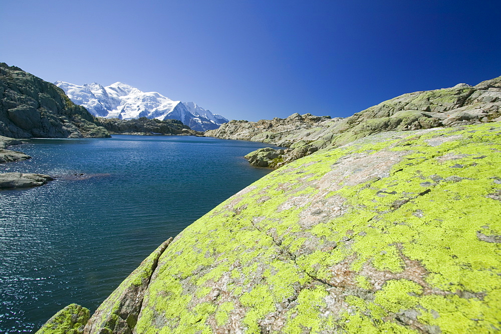 Mont Blanc from Lac Noir in the Aiguille Rouge National Park near Chamonix, Haute Savoie, France, Europe