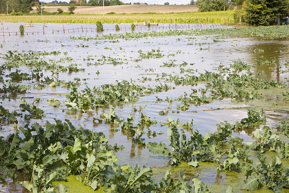 Floods of July 2007, Tewkesbury, Gloucestershire, England, United Kingdom, Europe