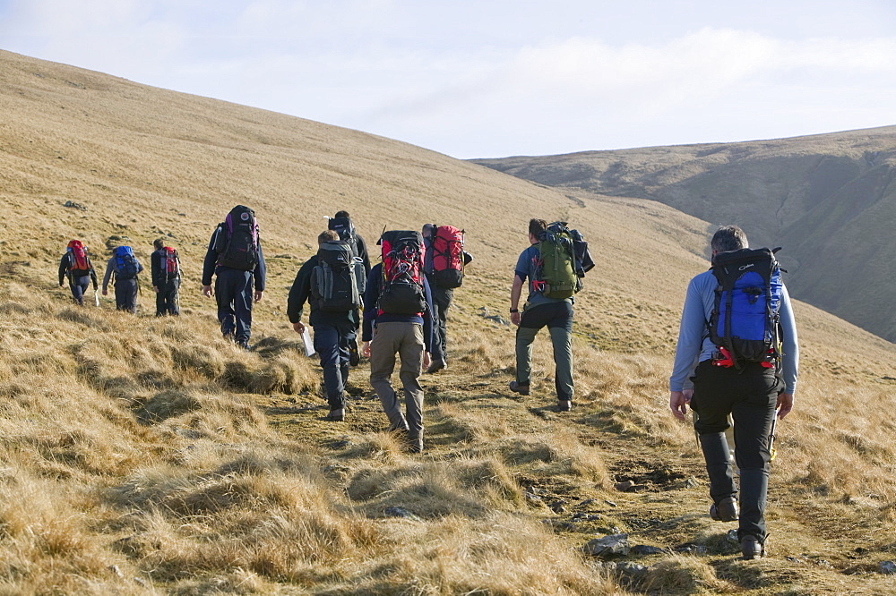 A group of walkers ascending the Helvellyn range in the Lake District, Cumbria, England, United Kingdom, Europe