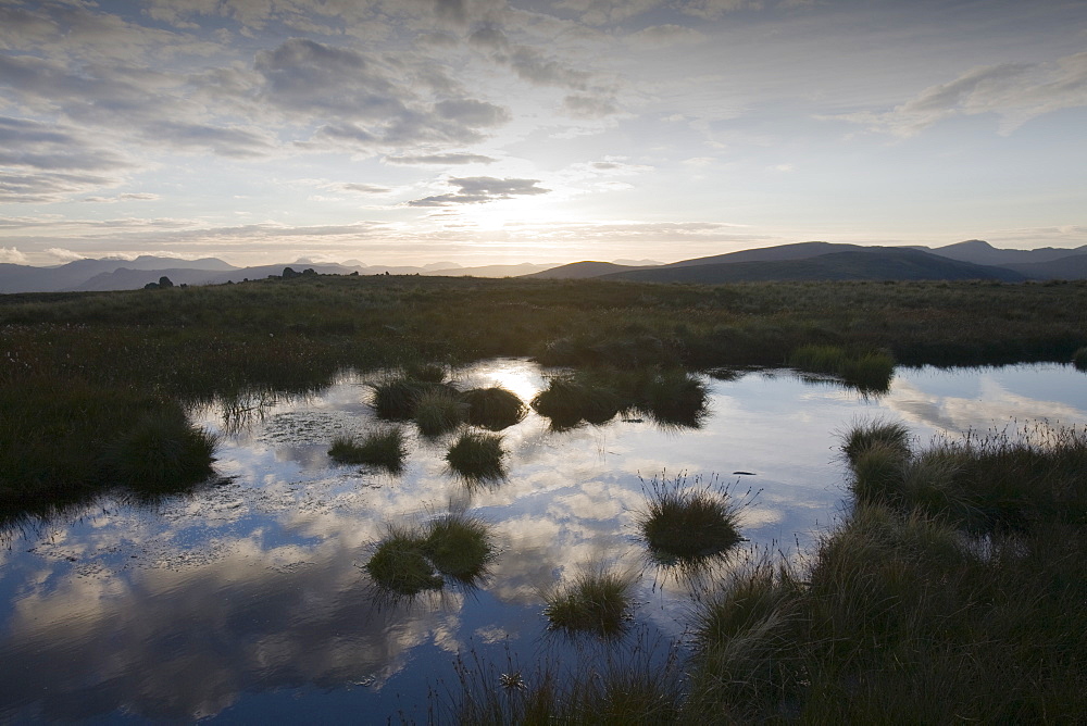 A tarn on the summit of Red Screes in the Lake District National Park, Cumbria, England, United Kingdom, Europe