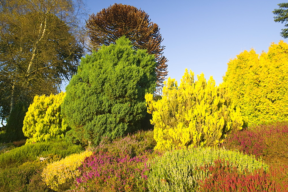 Borders in Holehird Gardens, Windermere, Cumbria, England, United Kingdom, Europe