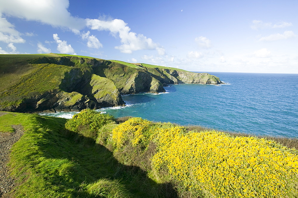 Varley Head near Port Isaac in Cornwall, England, United Kingdom, Europe