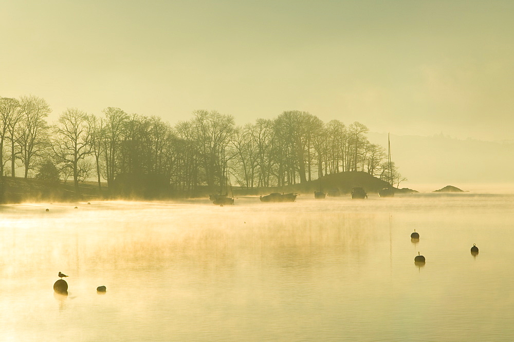 Lake Windermere at dawn in the Lake District National Park, Cumbria, England, United Kingdom, Europe