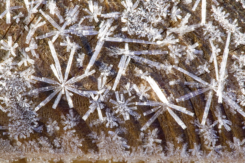 Ice crystals, Lake District, Cumbria, England, United Kingdom, Europe