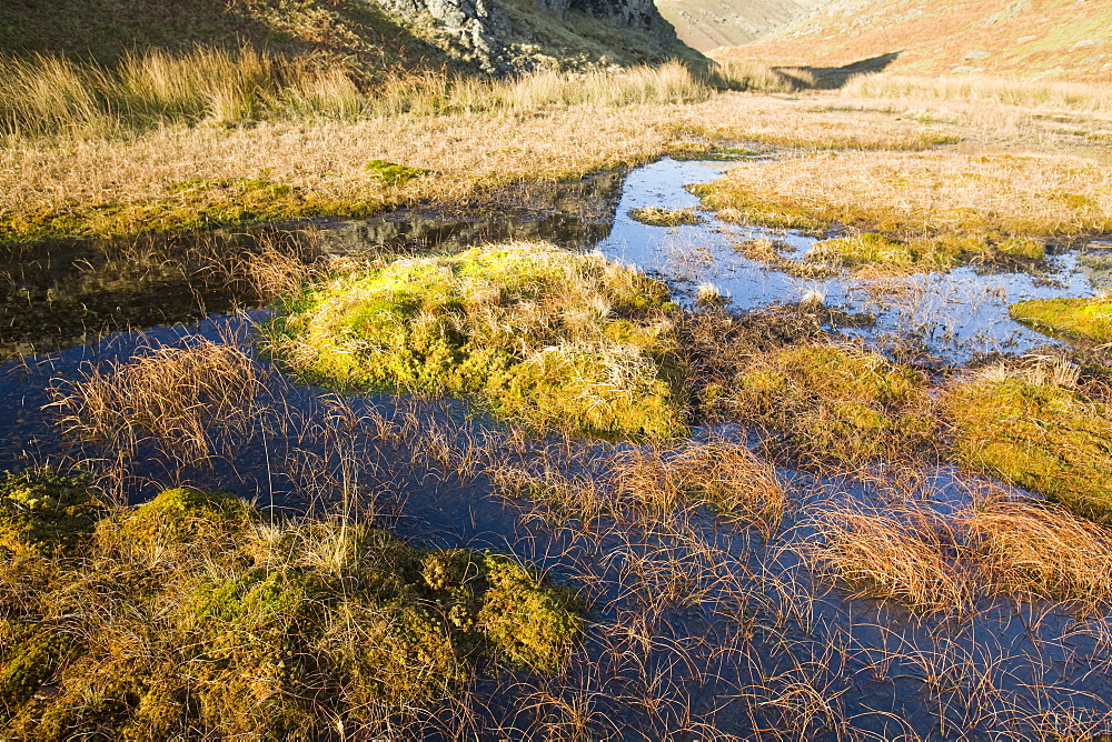 A peat bog on Fairfield, Lake District, Cumbria, England, United Kingdom, Europe