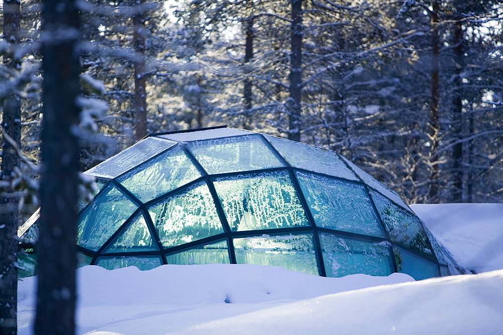 Winter in Saariselka, Northern Finland, Finland, Scandinavia, Europe