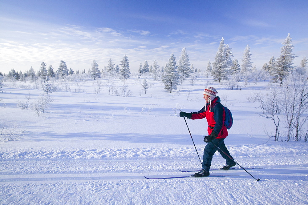 A woman cross country skiing near Saariselka, Northern Finland, Scandinavia, Europe