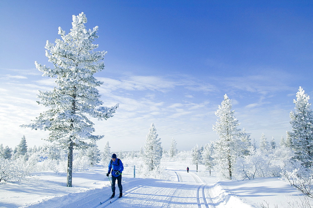 A man cross country skiing near Saariselka, Northern Finland, Scandinavia, Europe