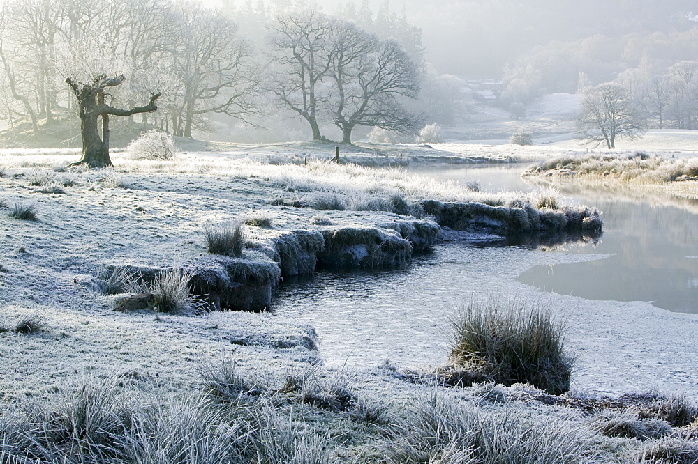 Frost at dawn on the River Brathay near Ambleside, Lake District, Cumbria, England, United Kingdom, Europe