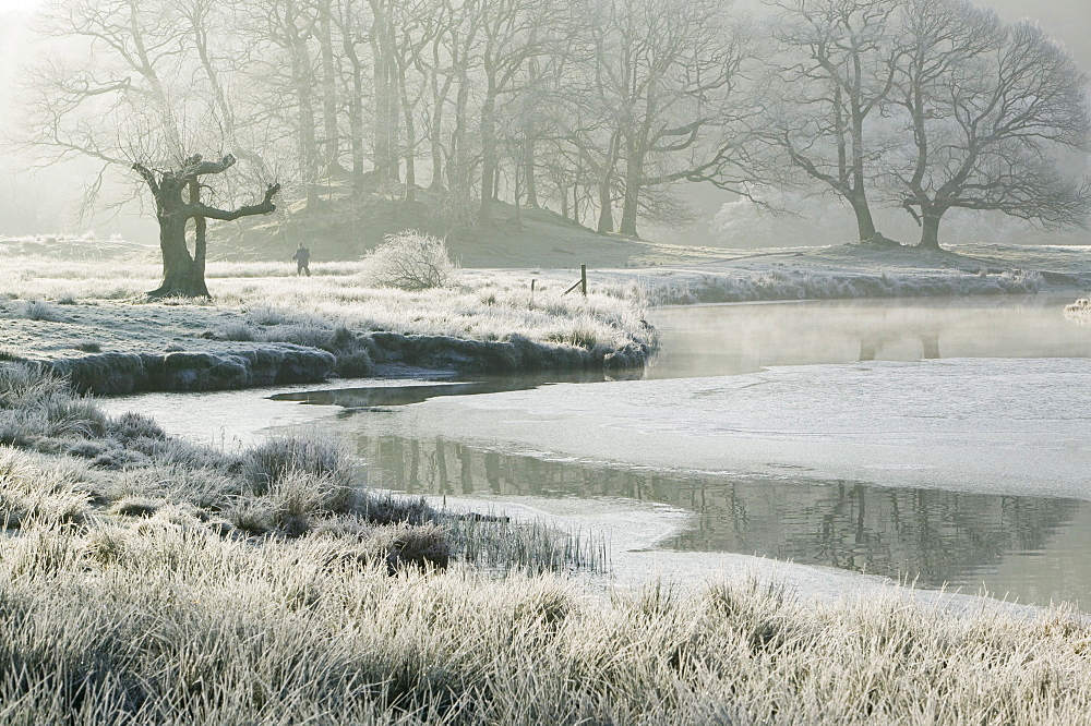 Frost at dawn on the River Brathay near Ambleside, Lake District, Cumbria, England, United Kingdom, Europe