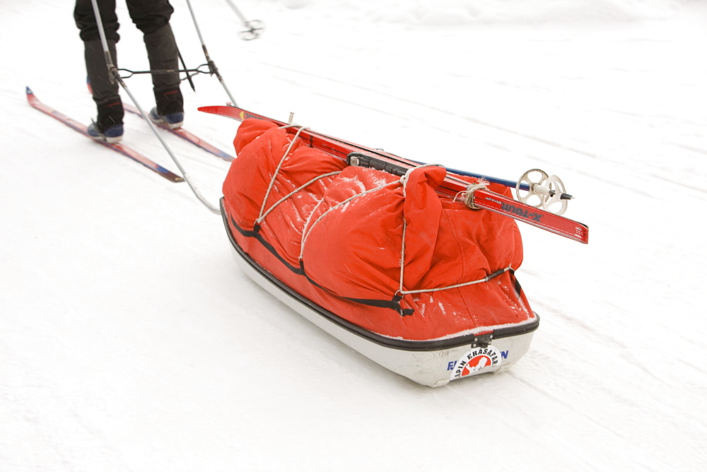 Cross country skiing near Saariselka, Northern Finland, Scandinavia, Europe