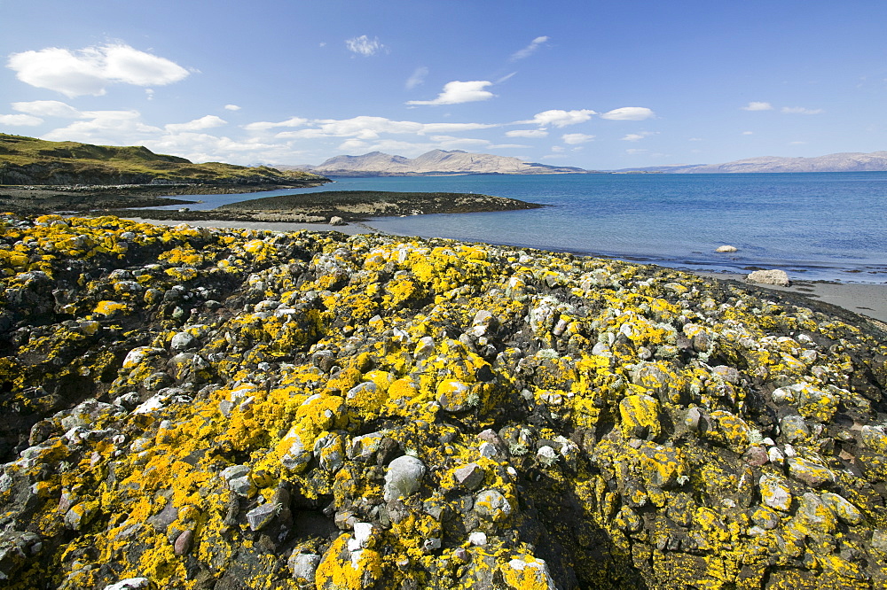 The view to Mull from the island of Kererra off Oban, Scotland, United Kingdom, Europe