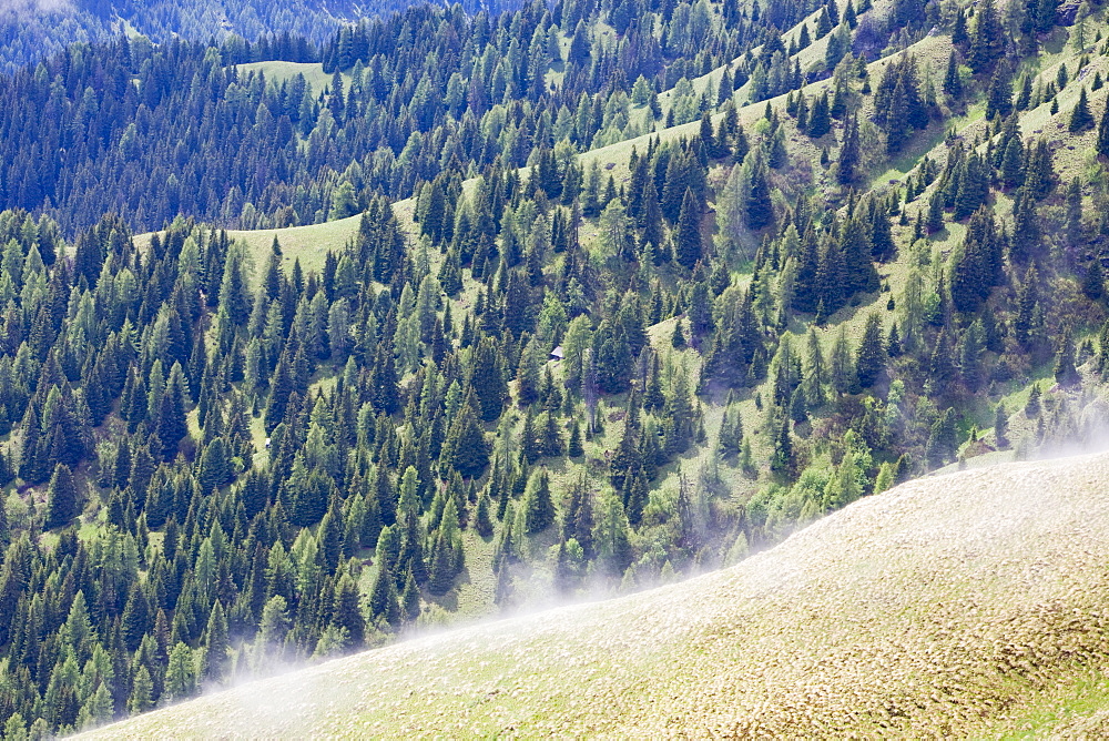 Mist rising from the slopes of the Italian Dolomites after rain, Italy, Europe