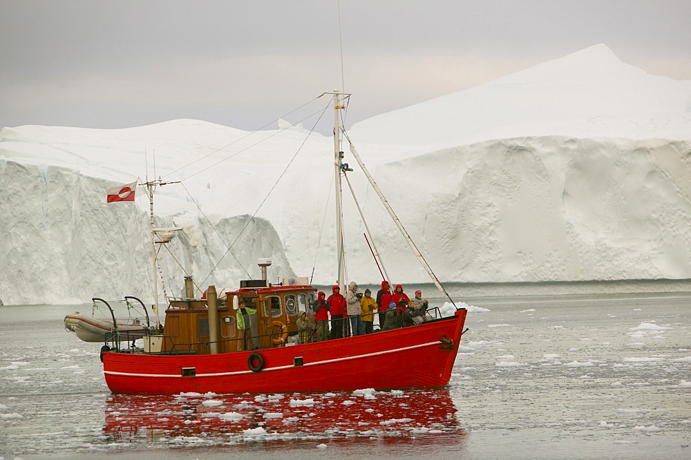 Tourist boat sailing through icebergs from the Jacobshavn Glacier (Sermeq Kujalleq), Greenland, Polar Regions