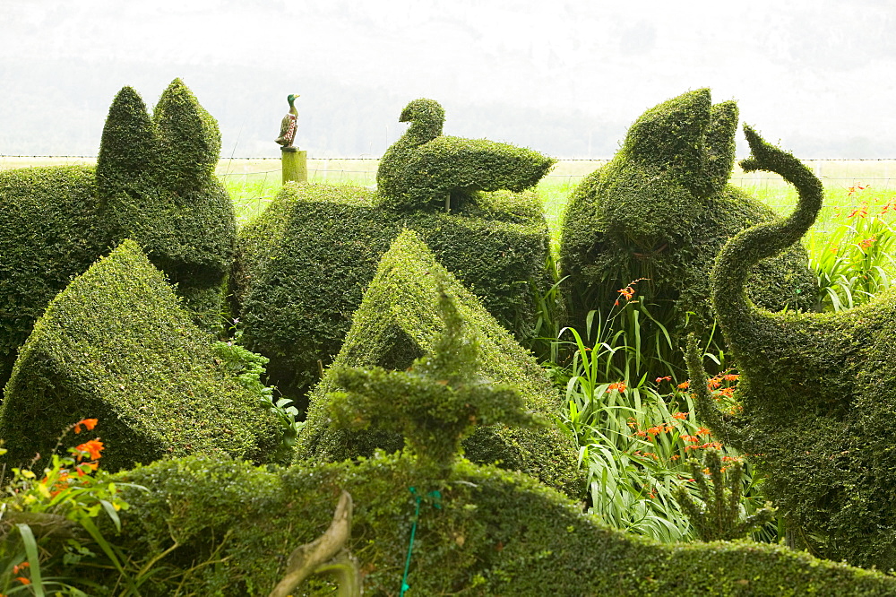 Topiary bushes on a caravan park near Kendal, Lake District, Cumbria, England, United Kingdom, Europe